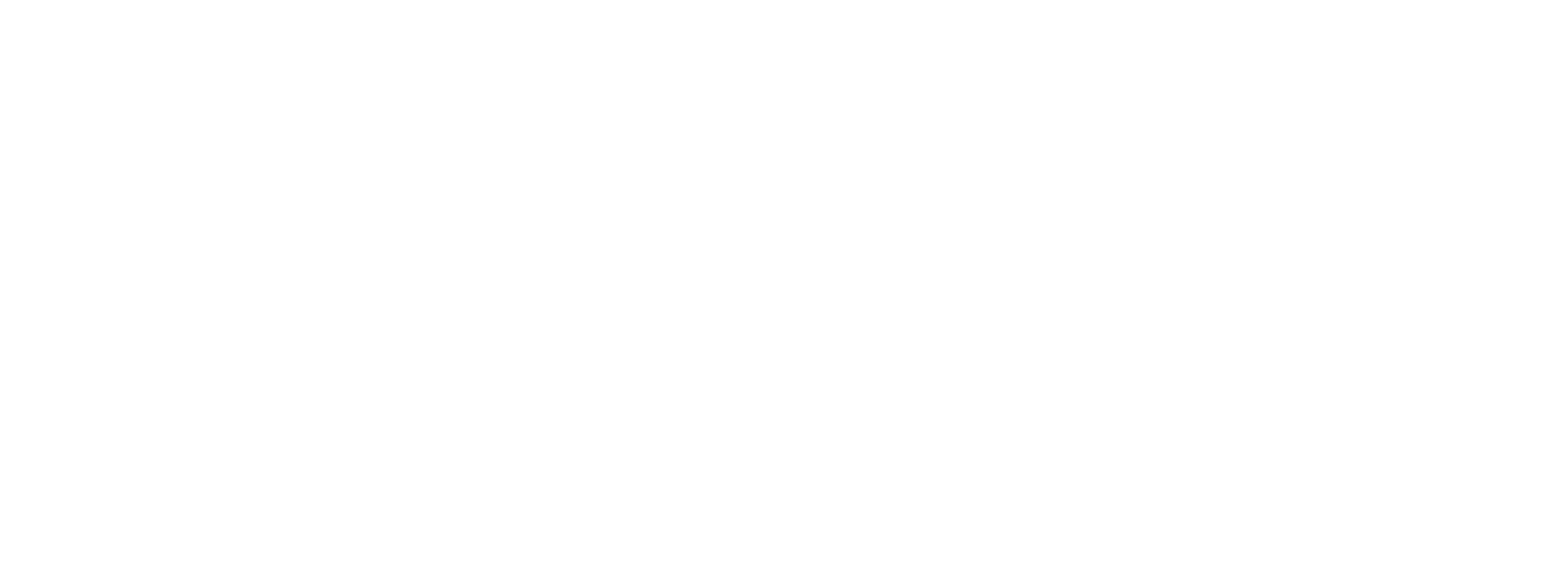 PIVOT 2019
